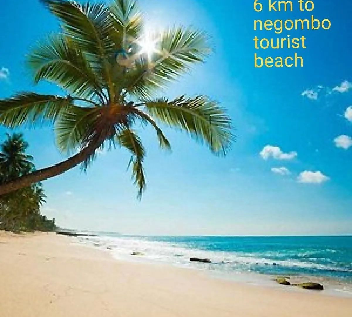 Cinnamon Avenue Villas- Negombo - Sri Lanka